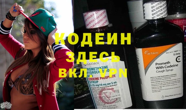 шишки Алексин