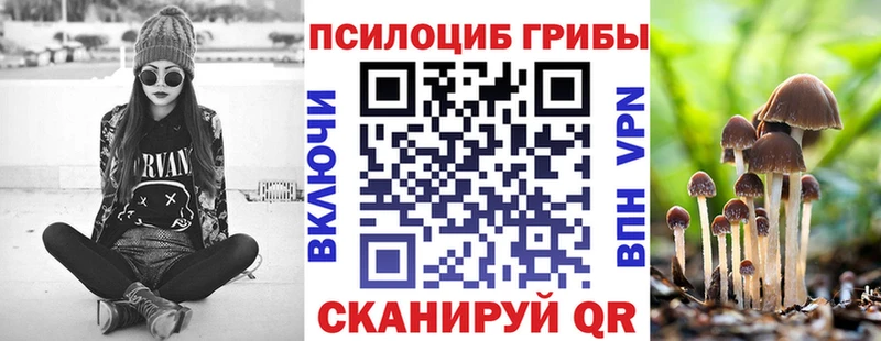 Купить  Бодайбо  Псилоцибиновые грибы Magic Shrooms 